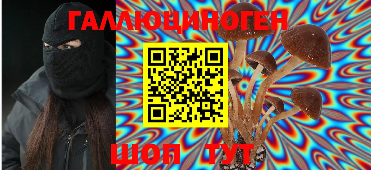 Псилоцибиновые грибы Psilocybine cubensis  Вход с VPN  Минеральные Воды 
